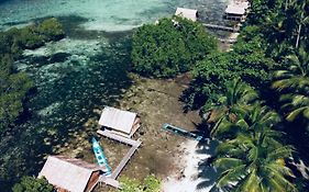Walking Shark Guest House